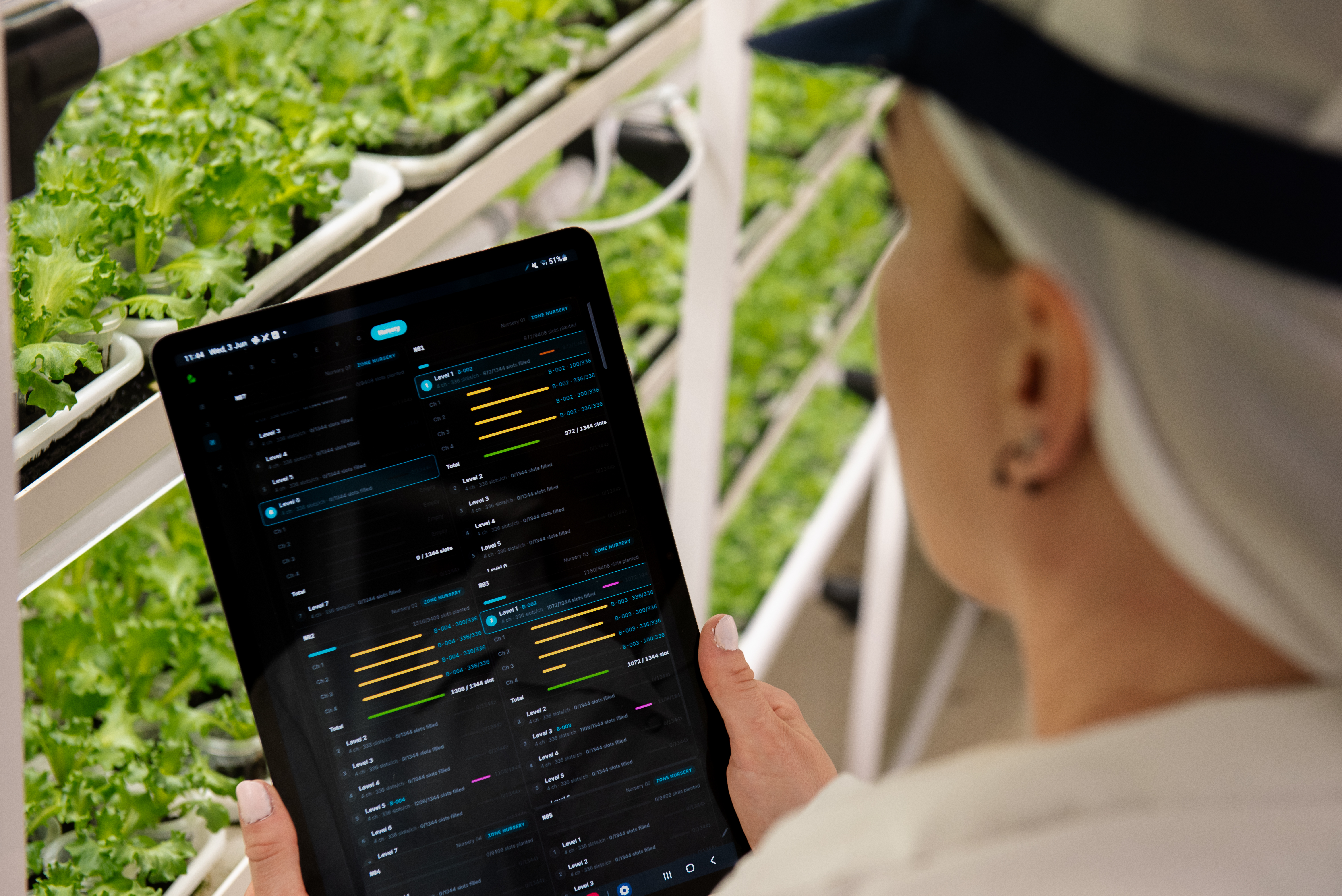 Lettuce lighting trial on an instrumented NFT rack